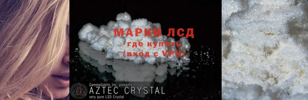 индика Володарск