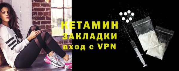 индика Володарск