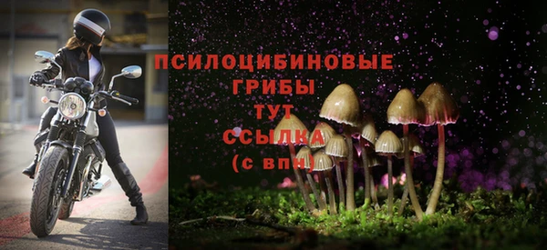 эйфоретик Волосово