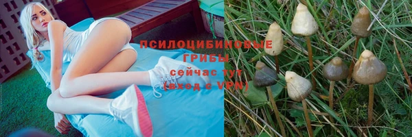 амф Верхнеуральск