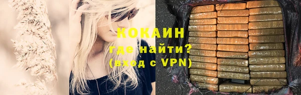индика Володарск