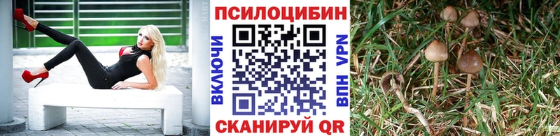 Псилоцибиновые грибы GOLDEN TEACHER Кимовск